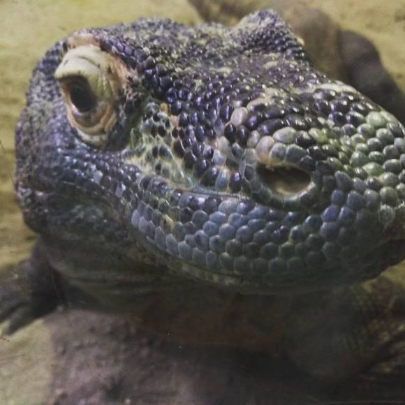 Meet your Posher, Kristina - Picture 1 of 1